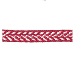 Ric Rac Trim - 25m