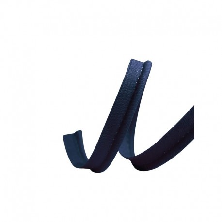 Paspelband
