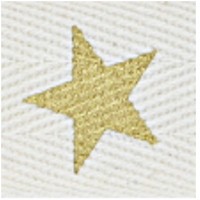 12m - Sternenband gold 25mm breit